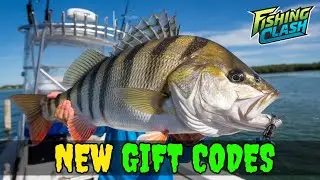 28 OCTOBER CODES ✅FISHING CLASH CODES 2024 - FISHING CLASH GIFT CODES - FISH CLASH CODES