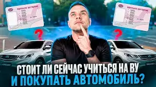 Стоит ли сейчас учится на ВУ и покупать автомобиль?