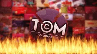 The Depressing Downfall of TheCloudMiner