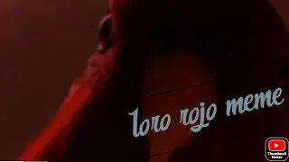 loro rojo meme