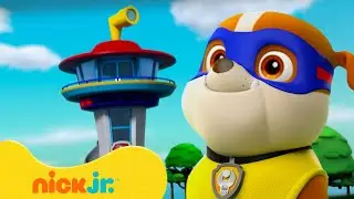 Paw Patrol | ¡Los rescates de la Torre de Control de Rubble y PAW Patrol! | 90 minutos | Nick Jr.