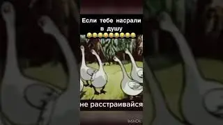 Баба-Яга дело говорит 😂 если тебе насрали в душу 😂 