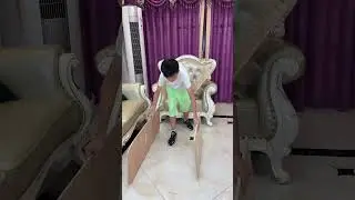 Лучшая домашняя игра с мячом 🤩    
