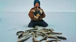 МАЛЬЧИК ЭХОЛОТ!!!  НАШЕЛ И СОБРАЛ ВСЮ РЫБУ В РЕКЕ ВОЗЛЕ СЕБЯ !! СЕМЕЙНАЯ РЫБАЛКА С КОМФОРТОМ !!!