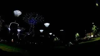 Singapore Super tree grove (Gardens by the Bay). P.1. Test actioncam EKEN 4K at night time