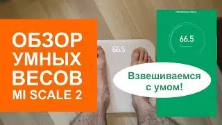 Обзор умных весов Mi Scale 2