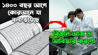 বিজ্ঞানীরা দেখালেন আশ্চর্যজনক ভিডিও| একে অপরের সঙ্গে কথা বলল গাছপালা!