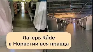 ЛАГЕРЬ РОДЕ В НОРВЕГИИ