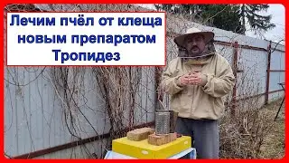 🔴 Начинаем лечение варроатоза пчел препаратом Тропидез. Видео для начинающих пчеловодов 2024 🔴