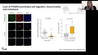 [Patricia Altea Manzano] PHGDH heterogeneity potentiates cancer cell dissemination and metastasis
