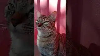 VID 20230602 145610
