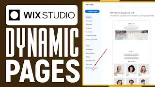 Wix Studio Dynamic Pages Tutorial 2024: Full Guide