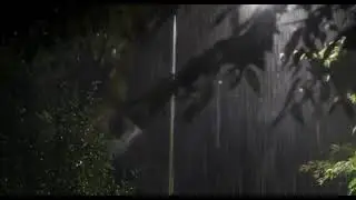 Rainy Night Copyright Free Videos for YouTube | Rain Video