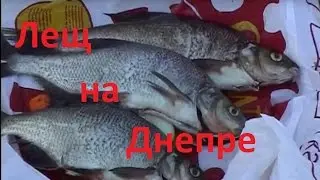 Диалоги о рыбалке - Выпуск 211 - Ловля леща на Днепре.