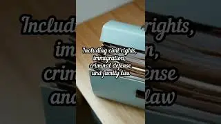 What are Pro Bono Cases
