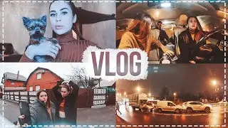 VLOG || ПОЕХАЛИ НА ДАЧУ, РАЗГОВОРЫ О СВАДЬБЕ, ПОПАЛИ В АВАРИЮ..