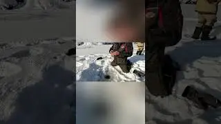 Бешеный Клёв! |рыбалка в России | #fishing  #рыбалка #shorts
