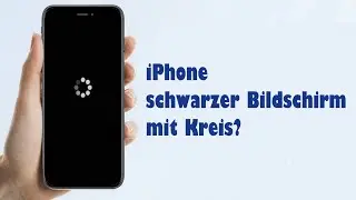 3 Tipps💡 iPhone schwarzer Bildschirm mit Kreis🔄 nach Update? So behebt es!