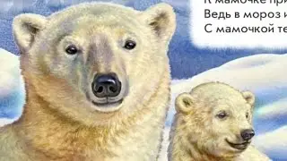 Стихи про диких животных (медведя, дельфина, павлина)