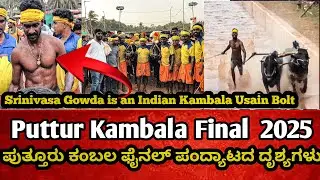 Puttur Kambala Final video  2025 ಪುತ್ತೂರು ಕಂಬಲ ಫೈನಲ್ ಪಂದ್ಯಾಟದ ದೃಶ್ಯಗಳು