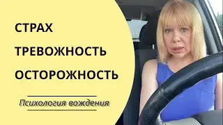 Осторожность или страх? Почему я боюсь водить?