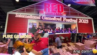 Magkano ang PURE GILMORE  at SWEATER sa RED GAMEFARM? | International Gamefowl Festival 2023