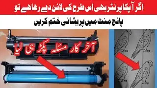 Fixing Vertical Lines on HP Laserjet in 5 Min or Less!