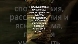 Звуки Воды и Леса: Природная Амбиенция и Пение Птиц для Расслабления, Звуки Природы, Успокаивающий