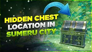 Hidden Chest Locations in Sumeru City Genshin Impact