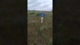 красота Алмалы полны до края