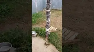 6 ноября 2022 г.