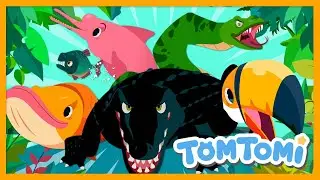 Amazon Animals Song🦜🐬🐊 | Unusual Animals Living in the Amazon | Kids Song | TOMTOMI