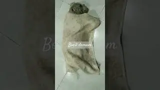 Selimutan ah.... 