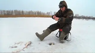 ЛОВЛЯ ЛЕЩА НА ГИРЛЯНДУ…! Рыбалка с Друзьями на р.Кия!