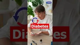 Which Diet is Best for Diabetes Reversal | Diabexy