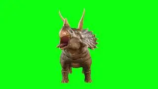 Green Screen Styracosaurus Dinosaur / WITHOUT COPYRIGHT FOOTAGE