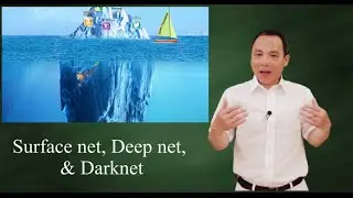Surface net,  Deep net,  and darknet