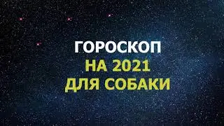 Гороскоп на 2021 год для Собаки