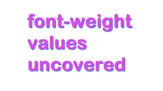 A Deep Dive into Font Weight Variations - Different Font Weight Values in CSS