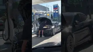 Tesla Owners Are Clueless...😲🤣