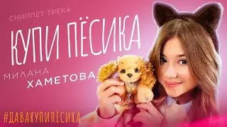 СНИППЕТ ТРЕКА МИЛАНА ХАМЕТОВА  - 