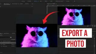 How to Export a Still Frame in Premiere Pro ( 2023 )