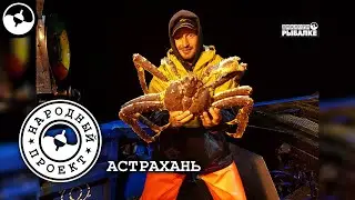 Щуки и крабы. Рыбалка в Астрахани | Народный проект ©