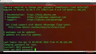 Linux Server Security: Updates|packtpub.com