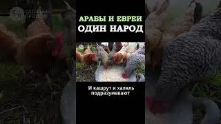 Почему Евреи и Арабы - Братские Народы