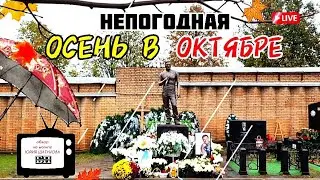 в любую погоду несмотря ни на что! сегодня на могиле Юрия Шатунова / Троекуровское кладбище