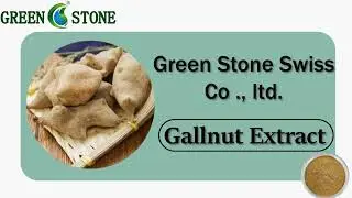 Factory Supply Galla Chinensis Extract 10:1/Gallnut Extract Supplier and Manufacturer.