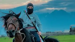 Обучаем бурятского коня под стрельбу 🏹