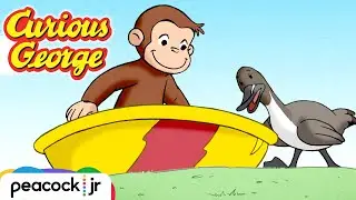 George's Lucky Ducky Day! | CURIOUS GEORGE