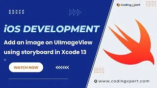 Add an image on UIImageView using storyboard in Xcode 13 and Swift 5 | Learn swift in Hindi | Xcode